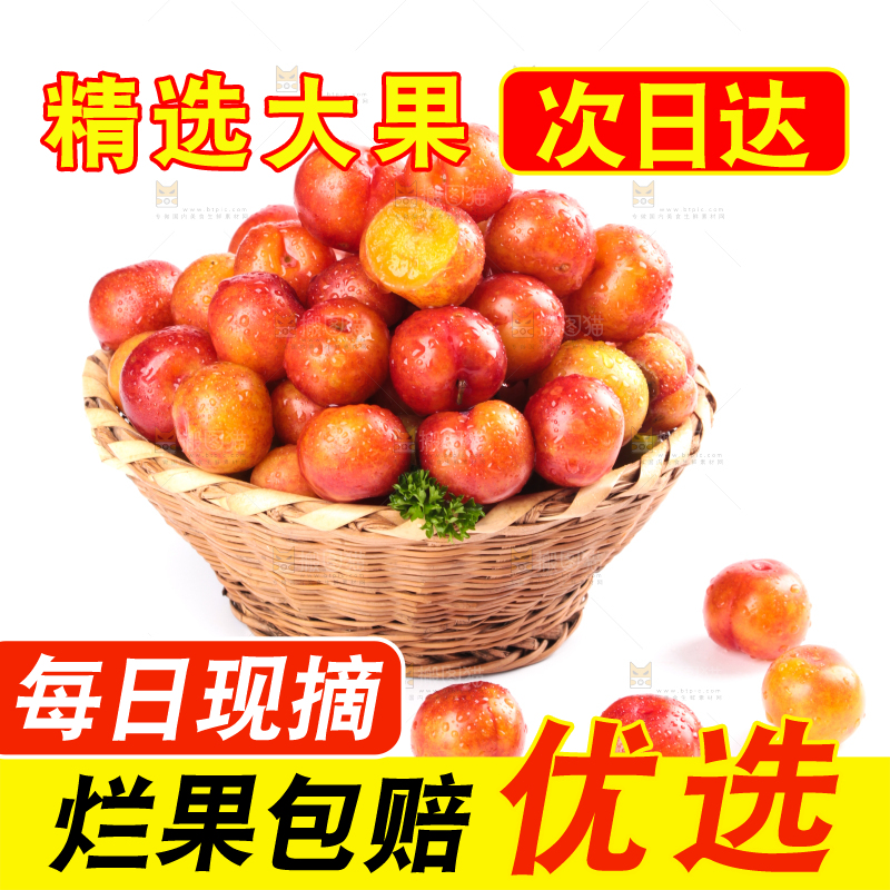 白底上的三月李