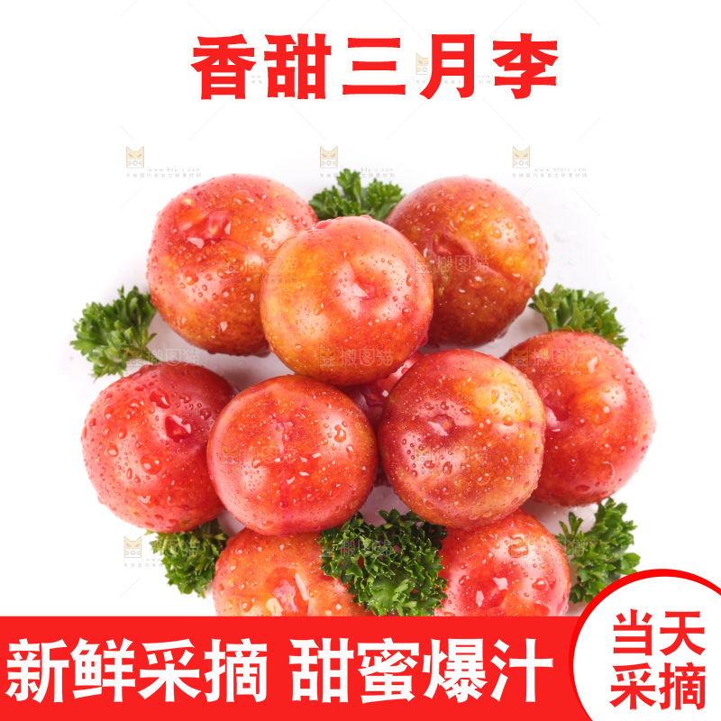 白底上的三月李