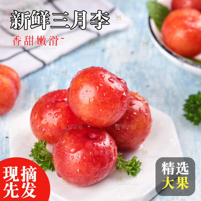 浅底上的三月李