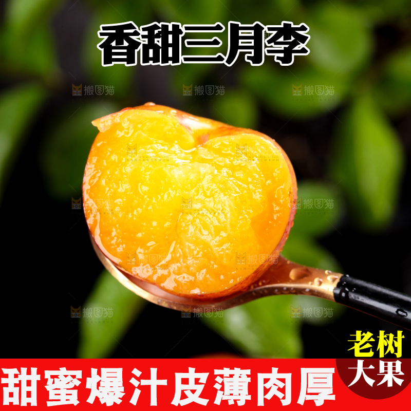 深底上的三月李