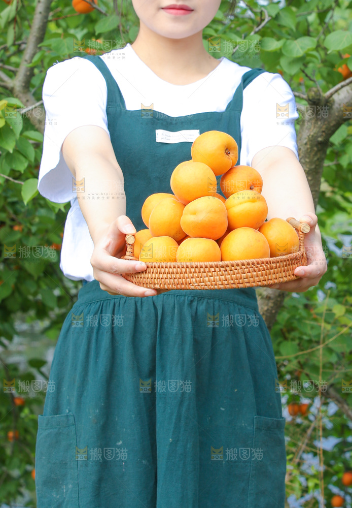 手里拿着新鲜大黄杏