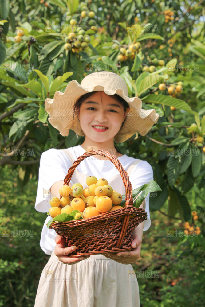 手里拿着现摘枇杷