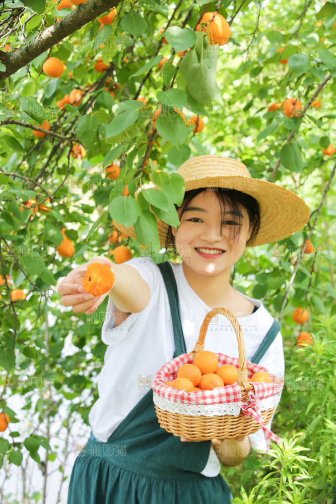 手里拿着新鲜大黄杏