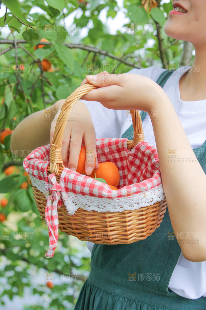 手里拿着新鲜大黄杏