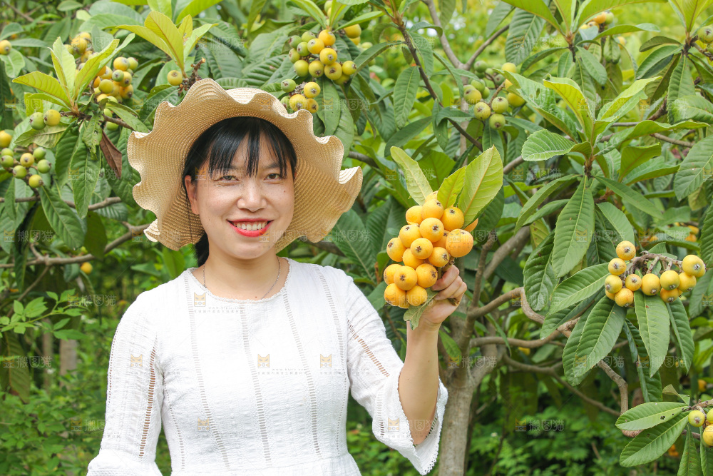 手里拿着现摘枇杷
