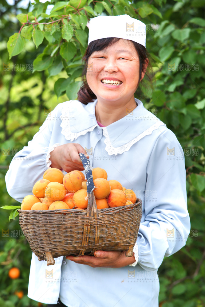 手里拿着新鲜大黄杏