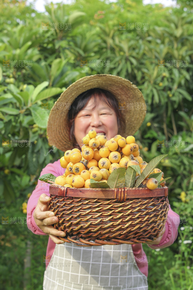 手里拿着现摘枇杷