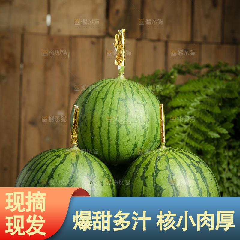 木底上的小西瓜