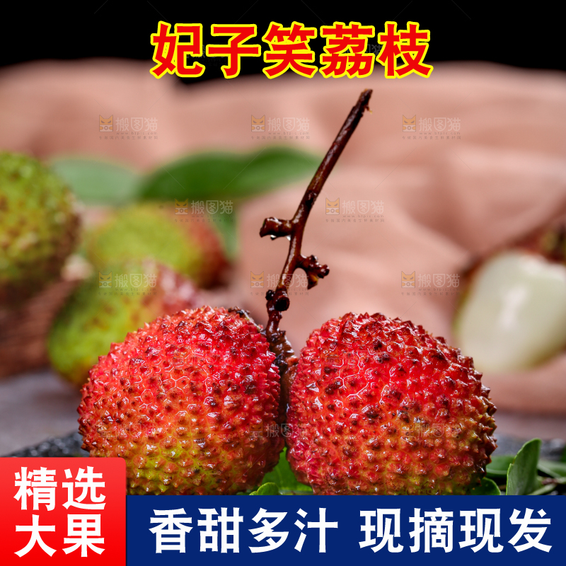 深底上的妃子笑