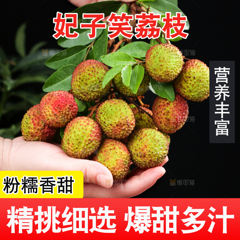 深底上的妃子笑