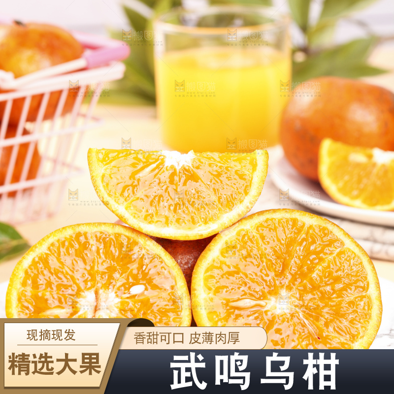 浅底上的乌柑