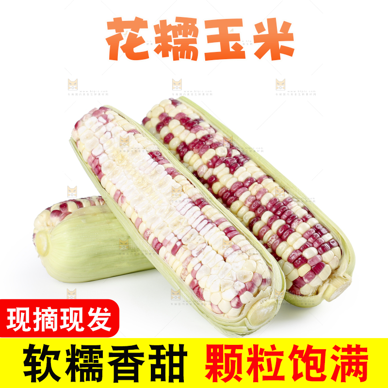 白底上的花糯玉米