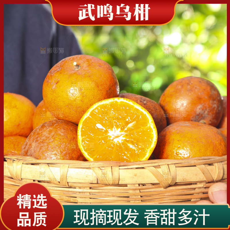 深底上的乌柑