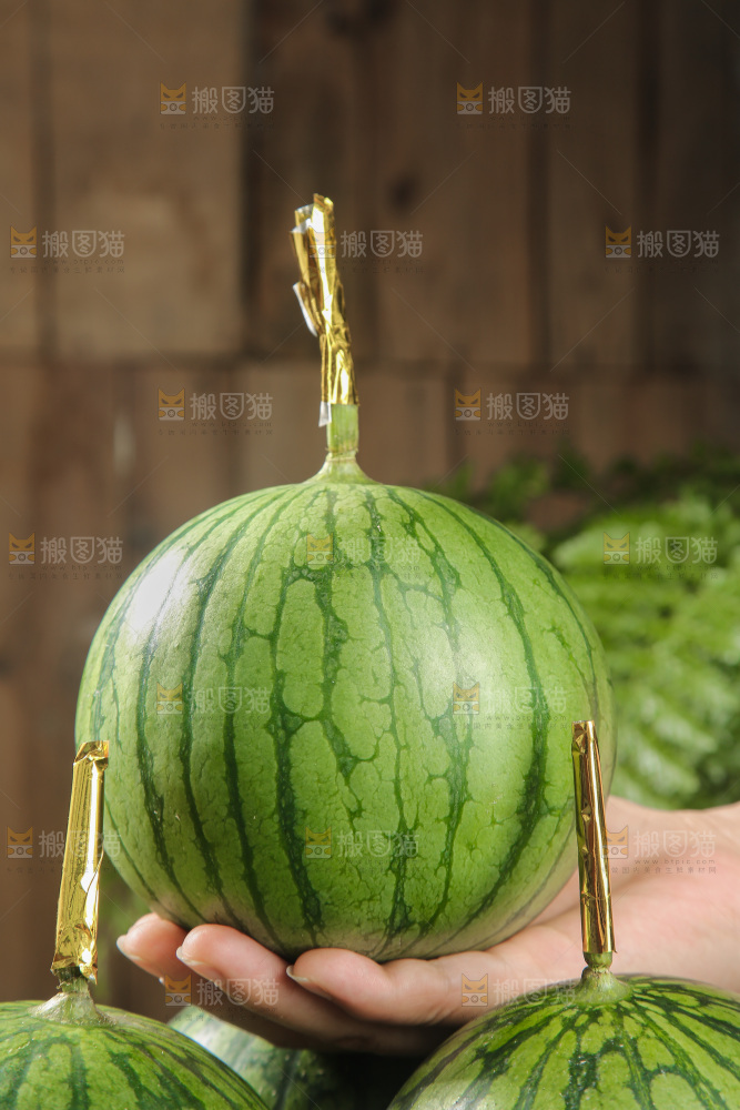木底上的小西瓜