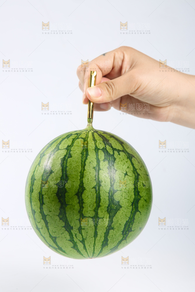 白底上的小西瓜
