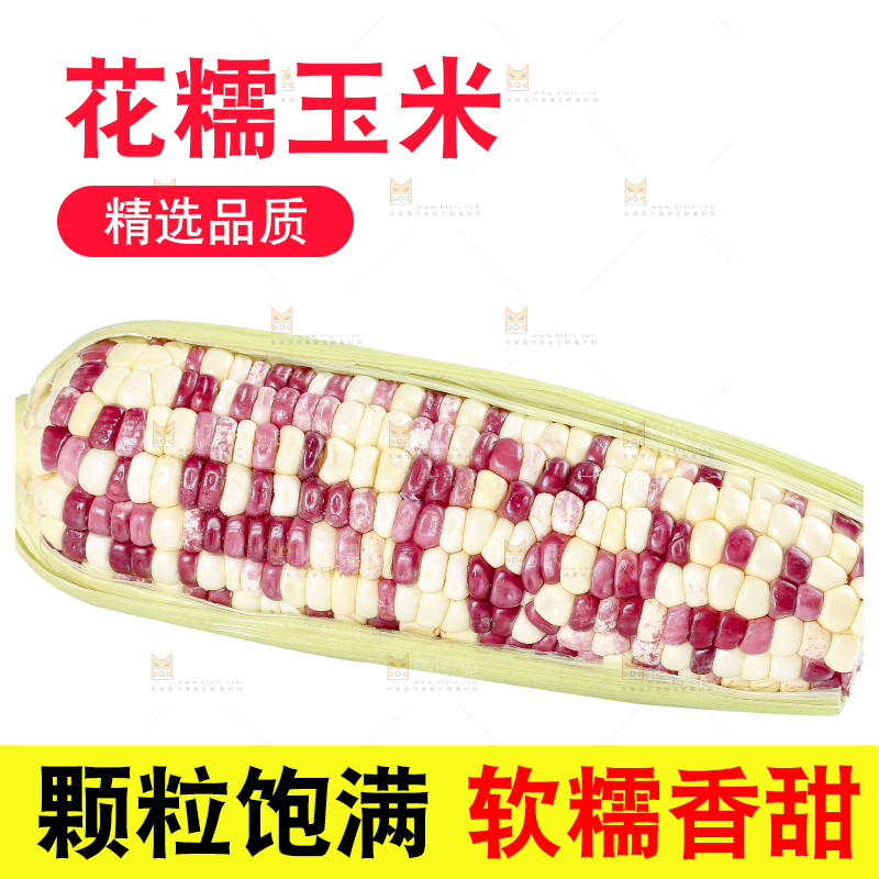 白底上的花糯玉米