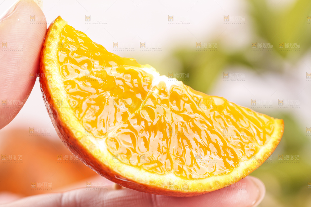浅底上的乌柑