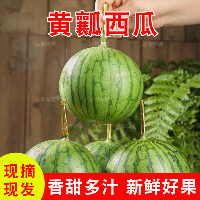 木底上的小西瓜
