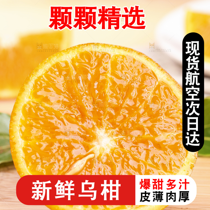 浅底上的乌柑