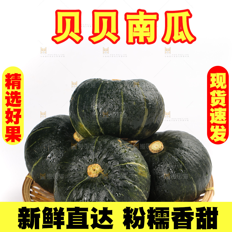 白底上放着的贝贝南瓜