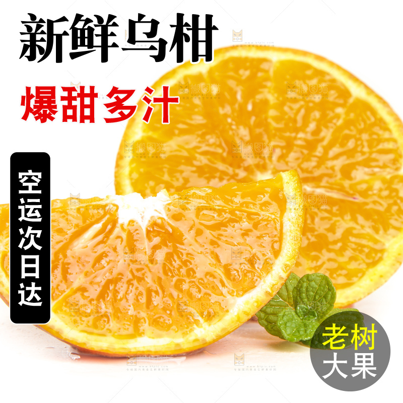 白底上的乌柑