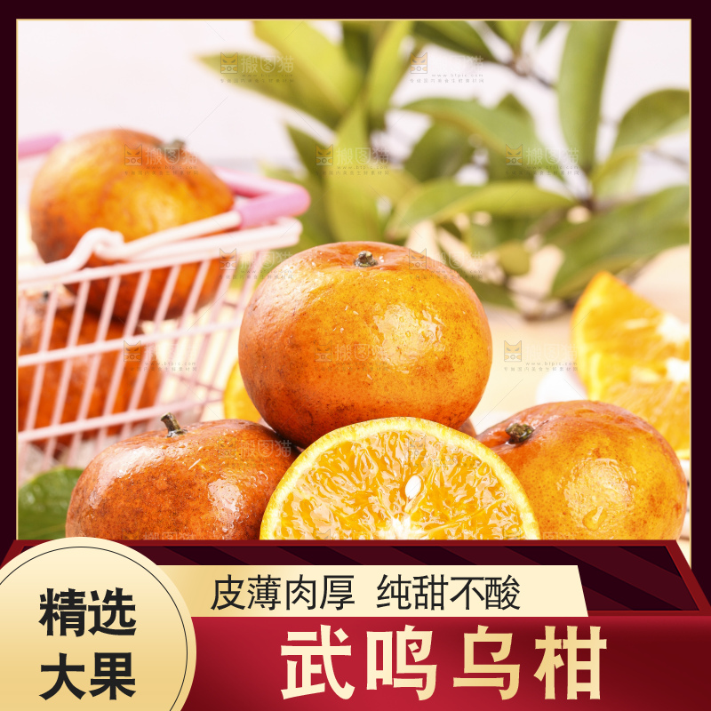 浅底上的乌柑
