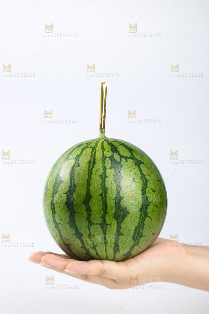 白底上的小西瓜