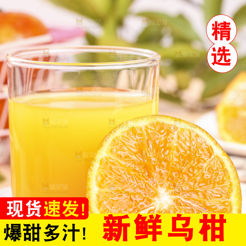 浅底上的乌柑