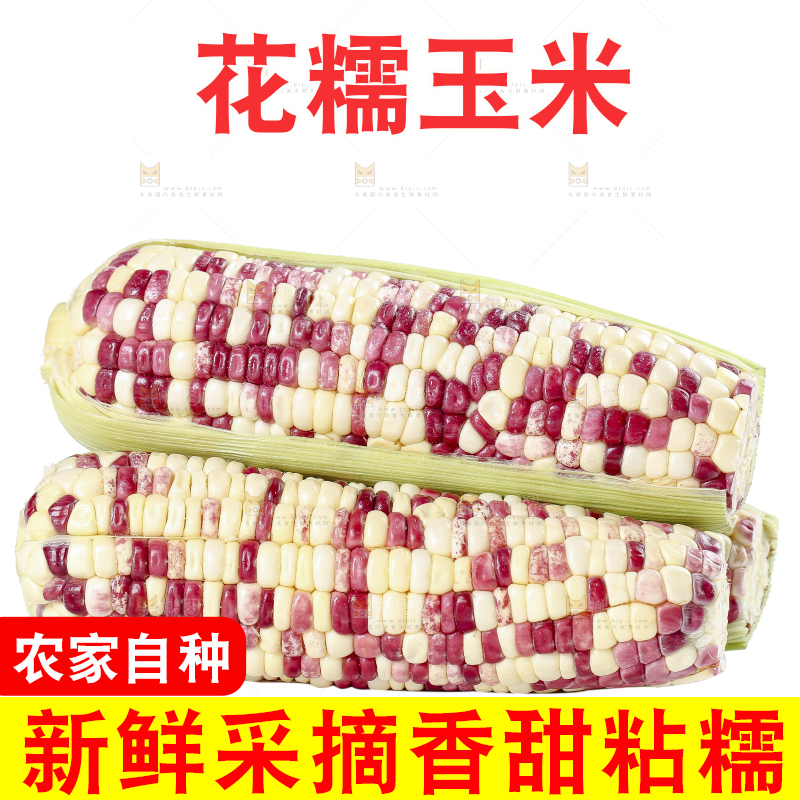 白底上的花糯玉米