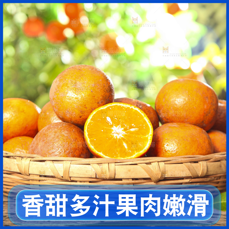 深底上的乌柑