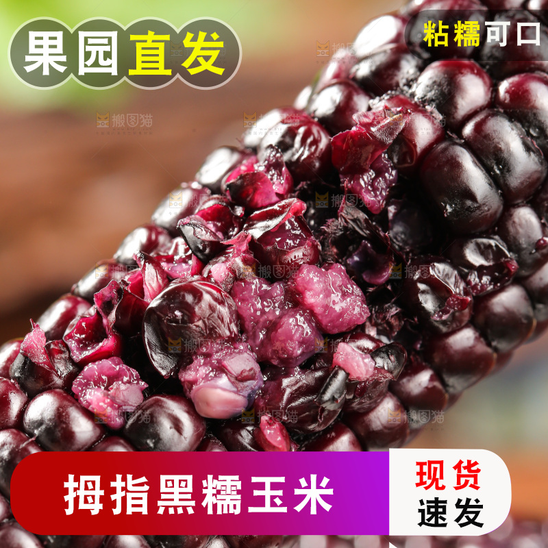 木底上的黑糯拇指玉米