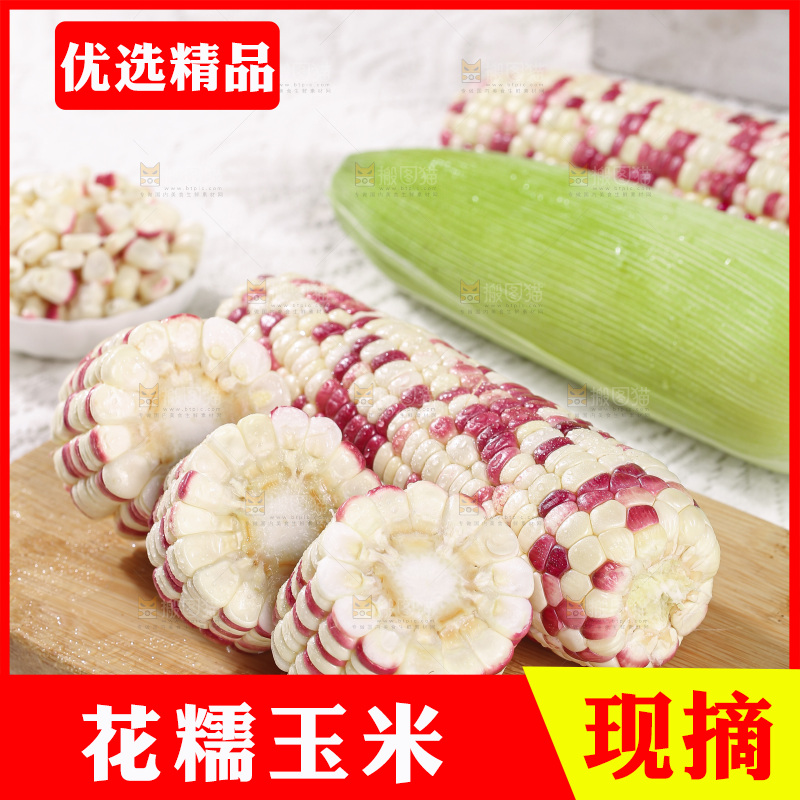 浅底上的花糯玉米