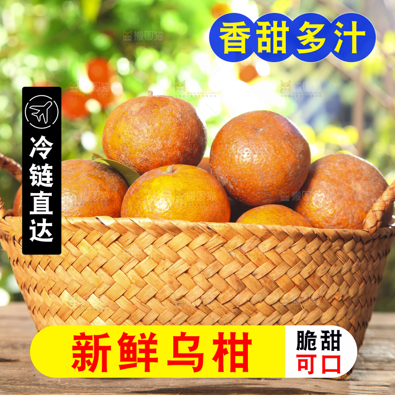 深底上的乌柑