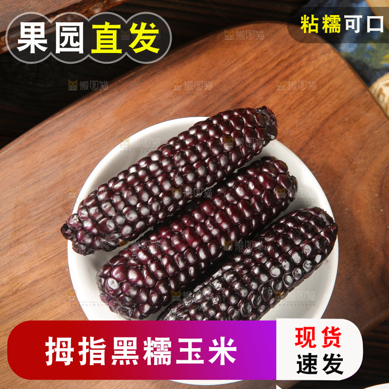 木底上的黑糯拇指玉米