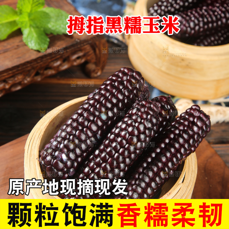 木底上的黑糯拇指玉米
