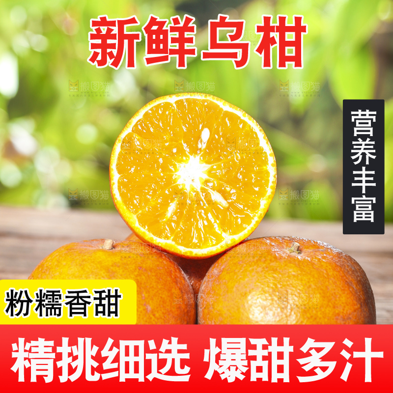 深底上的乌柑