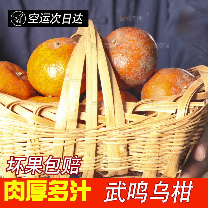 深底上的乌柑