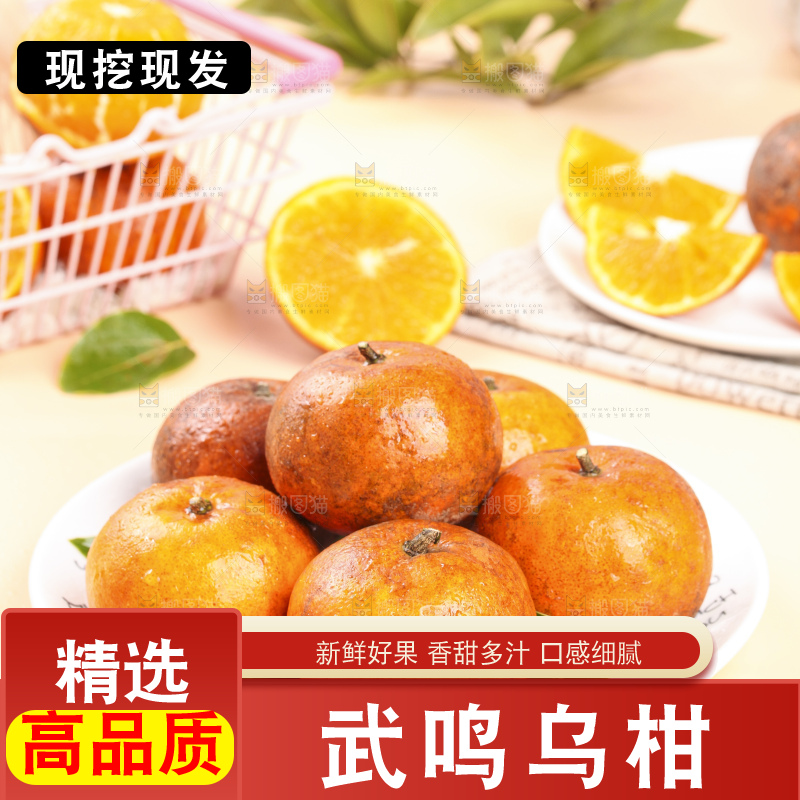 浅底上的乌柑