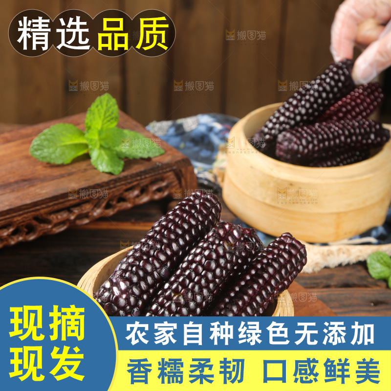 木底上的黑糯拇指玉米