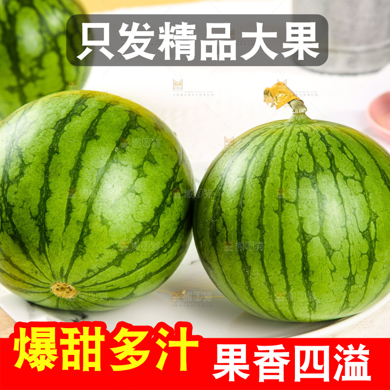 浅底上的黄瓤西瓜