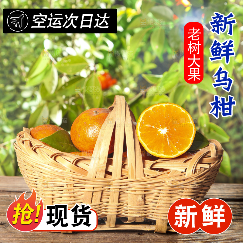 深底上的乌柑