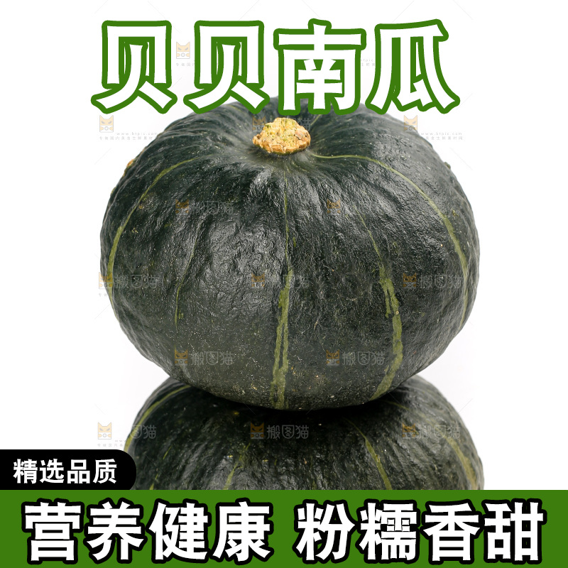 白底上放着的贝贝南瓜