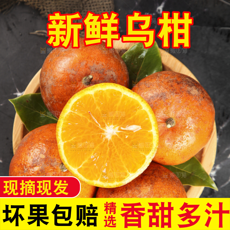 深底上的乌柑
