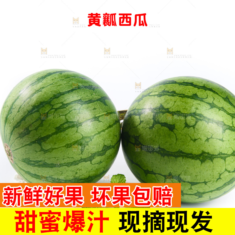 白底上的小西瓜