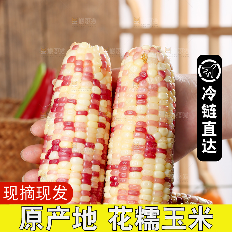 木底上的花糯玉米