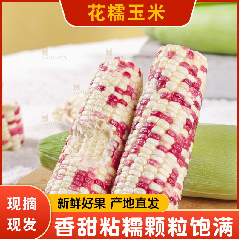 浅底上的花糯玉米