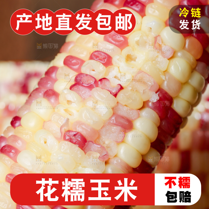 木底上的花糯玉米