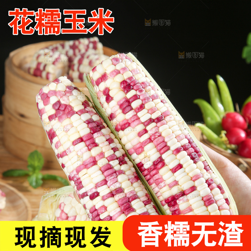 花糯玉米主图