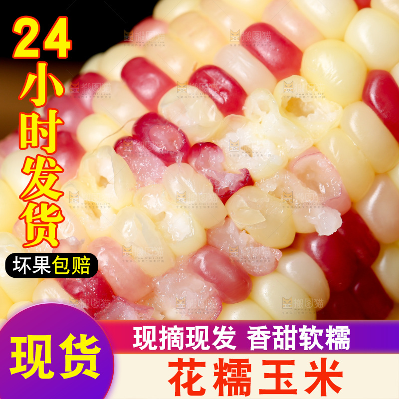 花糯玉米主图
