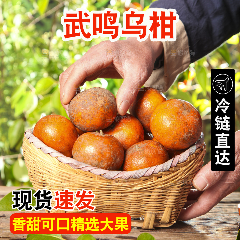 深底上的乌柑